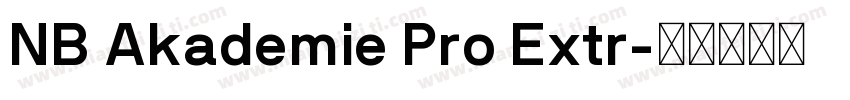 NB Akademie Pro Extr字体转换